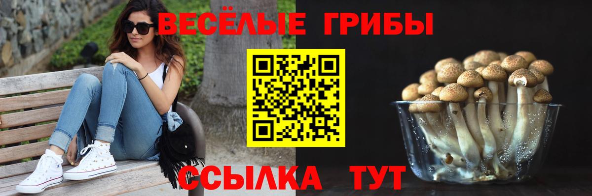 Галлюциногенные грибы мицелий  Вход с VPN  Подольск 